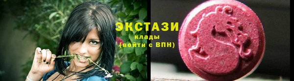 индика Каменногорск