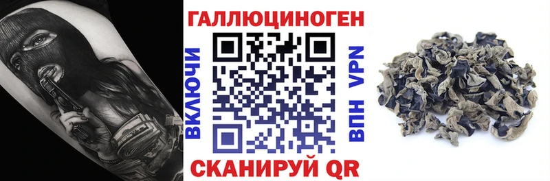 Псилоцибиновые грибы GOLDEN TEACHER  MEGA сайт  Сусуман 